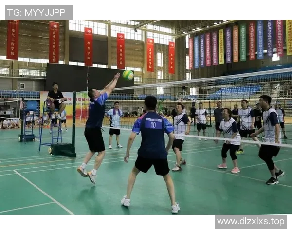 广州排球队创新高排球配合排名再攀新高峰展现团队实力与默契