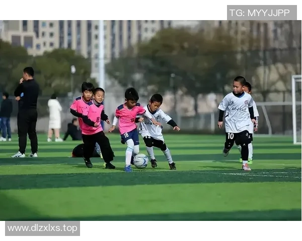 深入分析上海足球队的战术演变与转换打法的关键要素