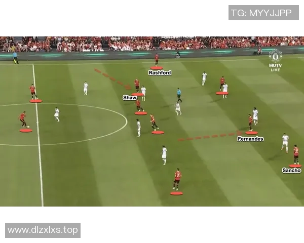 南京排球队的反击革新之路:重塑战术与团队精神的全新探索